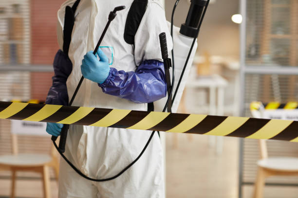 Professional Sewage Cleanup technician working in Cortland, NY